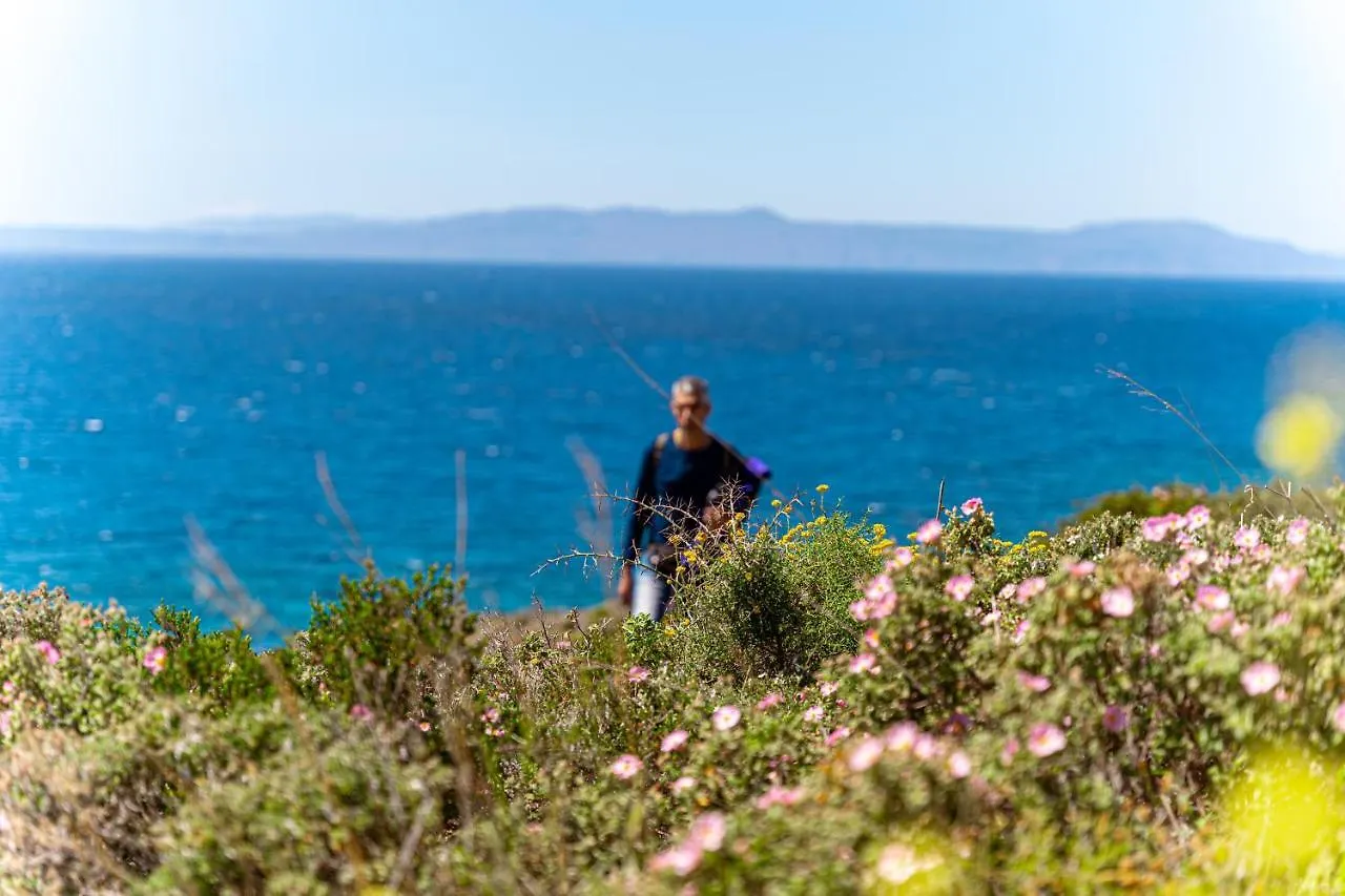 Cretan Life Holidays Hotel Chorafakia Greece